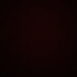 Meet your Posher, Dominick